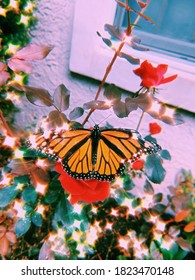 Sparkly Butterfly On Rose Bush