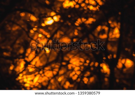 Similar – Image, Stock Photo ghost Autumn Plant Leaf