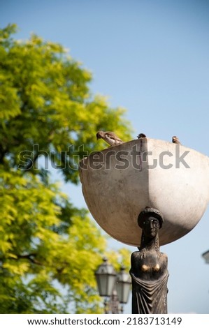 Sparrows birds sitting in marble bowl on head of female sculpture outdoors.