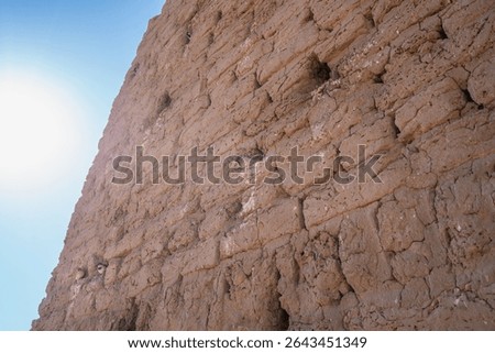 Sparrows nest in the ancient mud wall of the Abu Simbel Temples in Aswan, Egypt. This unique moment blends wildlife with monumental history.
