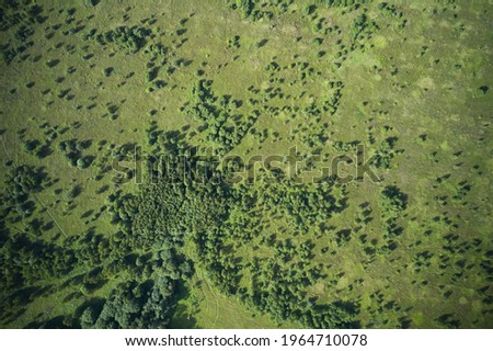 Sparse growth of trees aerial view