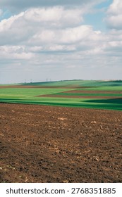 Sparse Soil Blending Into Vibrant Multiple Green Crop Fields Under Expansive Overcast Heavens