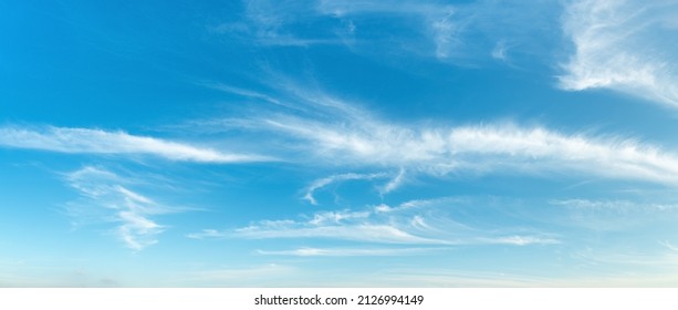 Sparse Translucent Cirrus Clouds High In The Clear Blue Sky. Wide Panorama Of Azure Heaven With White Rarefied Clouds On A Sunny Day. Weather Forecast, Vacation, Travel And Season Concepts. Sky Only.