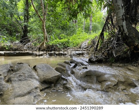 Sparse trickles of water meander through, reflecting the harsh sunlight, as the surrounding flora thirstily reaches towards the scarce moisture.
