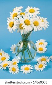 Sparse white chamomiles on a blue background