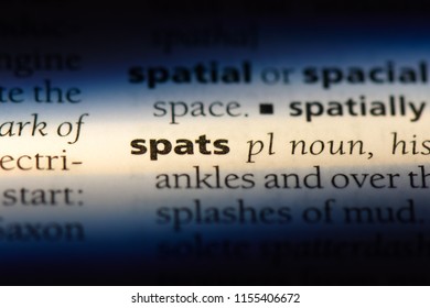 spat meaning