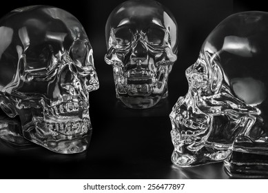 Speach Crystal Head  Skulls  