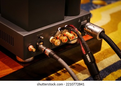 Speaker connector on the back of the amplifier, hi end audio.                                        