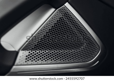 Speaker at the panel of modern car