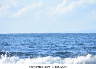 Spearfishing Caloundra, Sunshine Coast Queensland Australia 