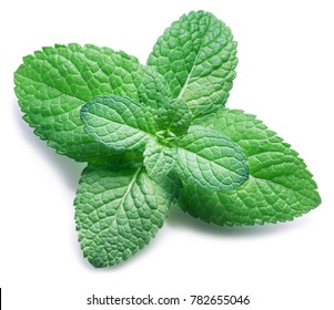 Spearmint Or Mint On White Background. Top View.