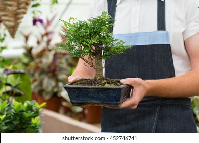 Special plants. Cropped closeup of a male florist holding a bonsai tree in a pot his nursery on the background - Powered by Shutterstock