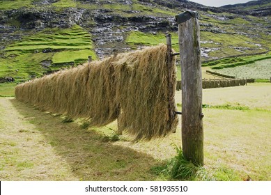 a special scaffolding hanging and dried hay because of rain can not be dried on the substrate. Iceland summer