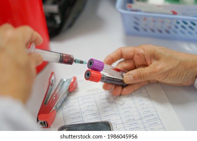 specialist collecting blood sampling into vacuum tube for testing, selective focus                            