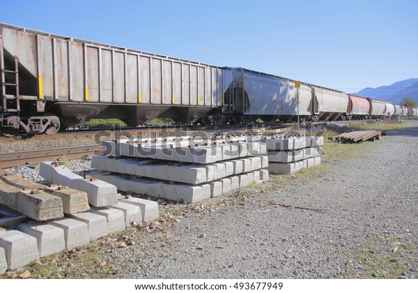 Specialized equipment is used to maintain rail
tracks/Special Train Track Equipment/Specialized equipment is used
to maintain rail tracks.
