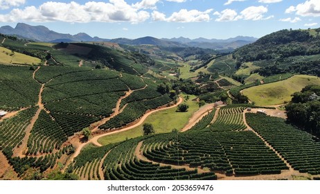 Specialty Coffee Plantations In The Mountains Of Manhuaçu Minas Gerais