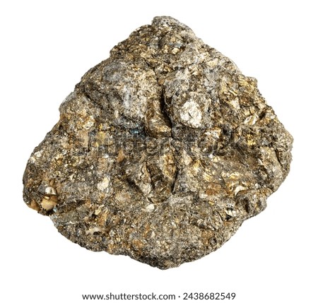 specimen of natural raw pyrite rock cutout on white background