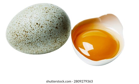 Speckled bird egg and broken eggshell with raw golden yolk