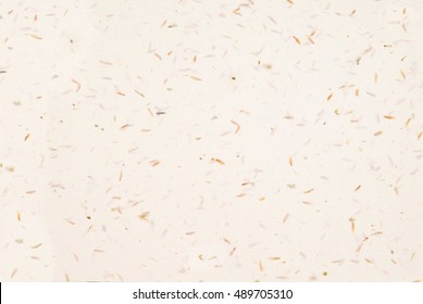 Speckled Confetti Background. Organic Paper.