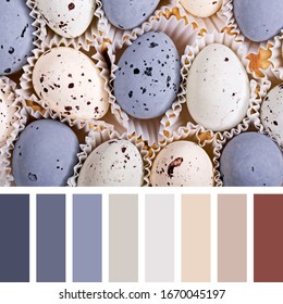 Speckled Realistic Candy Egss, In A Colour Palette With Complimentary Colour Swatches.