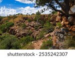 Spectacular canyon scenery at The Grotto, a deep waterhole at the end of a small gorge along the highway from Kununurra to Wyndham, in the north of Western Australia.
