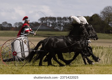 Spectacular chariot ride with four friesian horses 