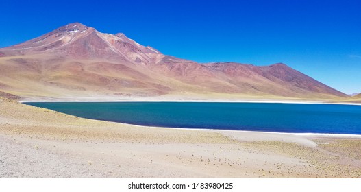 Spectacular Contrast Between The Miscanti Lagoon With Its Prussian Blue Waters And The Pink Slopes Of Miñiques Volcano, Near San Pedro De Atacama, Chile.