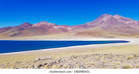 Spectacular Contrast Between The Miscanti Lagoon With Its Prussian Blue Waters And The Pink Slopes Of Miñiques Volcano, Near San Pedro De Atacama, Chile.