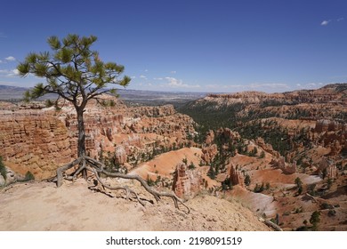 Spectacular Erosion Landform In Bryce Canyon City