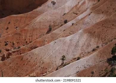 Spectacular Erosion Landform In Bryce Canyon City