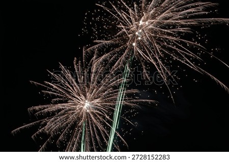 Spectacular fireworks burst, exploding in the night sky with golden sparks and green trails. Colourful pyrotechnic display showing multiple white and gold firework explosions against a pure black background.