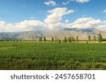 Spectacular landscpae seen on the train ride in the Eastern Express, Dogu Ekspresi from Kars to Ankara, green fields in front of mountains, clouds on a blue sky are throwing shadows, Turkey 2022