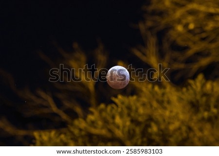 Spectacular Lunar Eclipse over Valencia, Spain