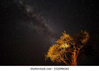 Spectacular Milky Way Kalahari Desert Namibia Stock Photo 1526986262 ...