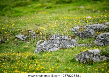 Similar – Image, Stock Photo Karst landscape of mountains and far islands in Ha Long Bay, Vietnam, Southeast Asia