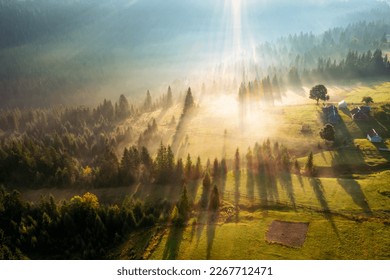 Spectacular misty landscape with sunbeams breaking through the trees. Bird's eye view. Location place Carpathian mountains, Ukraine, Europe. Aerial photography. Discover the beauty of earth.