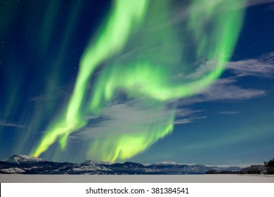 Spectacular Northern Lights or Aurora borealis or polar lights dancing over moon-lit winter landscape of frozen Lake Laberge, Yukon Territory, Canada