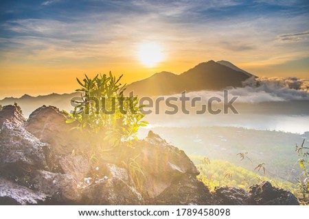 A spectacular panoramic view of kintamani volcano peak, sunrise and sunrays through the leaves from the top of the Mount Batur with fog and cloud