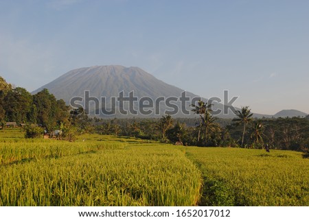 The spectacular rice terraces of Karangasem, Bali with a volcano in the background. 