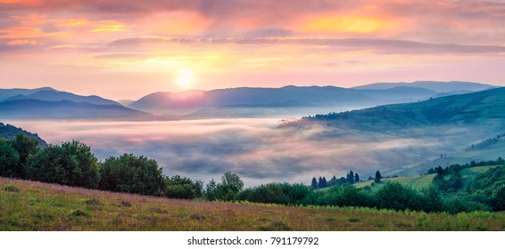 Spectacular summer sunrise in Carpathian mountains. Foggy morning panorama of green mountain valley, Transcarpathian, Rika village location, Ukraine, Europe. Beauty of nature concept background. - Powered by Shutterstock