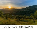 A spectacular sunrise over a field                               