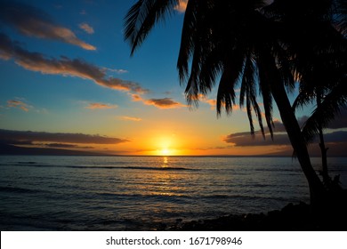 Spectacular sunset in Maui, Hawaii. Colorfull view with palms and pacific ocean. Small and isolated island Maui. The best place for holidays and relax.
