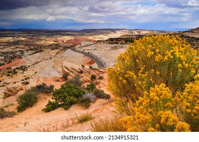 Spectacular Utah Scenic Highway 12 winding through the sandstone landscape of the Grand Staircase-Escalante National Monument between Escalante and Boulder, Utah, USA