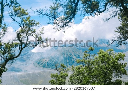A spectacular view of the active Mount Bromo spewing smoke beneath a vast expanse of towering white clouds is naturally framed by the twisting trees of the highlands and lush green foliage.