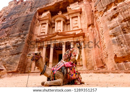 Spectacular view of two beautiful camels in front of Al Khazneh (The Treasury) at Petra. Petra is a historical and archaeological city in southern Jordan. 