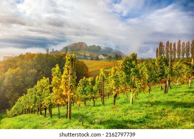 Spectacular Vineyards Landscape In South Styria Near Gamlitz. Autumn Scene Of Grape Hills In Popular Travell Destination Eckberg. Location: Gamlitz, District Of Leibnitz In Styria, Austria. Europe.