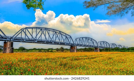 The spectacular Warren Truss Old Railway Bridge over scenic flower field. Dashu , Kaohsiung,Taiwan.for branding,calender,postcard,screensave,wallpaper,poster,banner,cover,website.High quality photo - Powered by Shutterstock