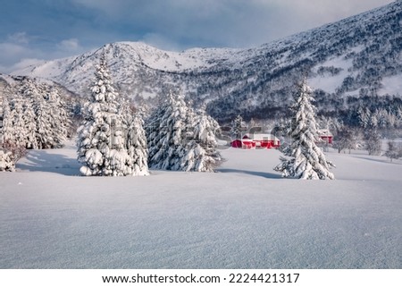 Spectacular winter view of Vestvagoy island with typical norwegian red wooden houses. Snowy morning scene of Lofoten Islands, Norway, Europe. Traveling concept background.
