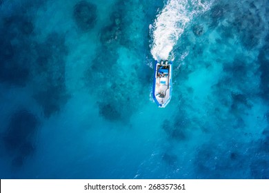 Speed boat on the azure sea.
