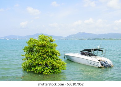 Speedboat floating on the sea near the coast